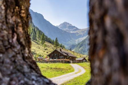 21flachausommerwandernalmenmarbachalmprechtlhuette2